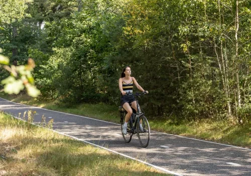 Fietsverhuur De Tol