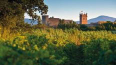 Une escapade dans les vignobles