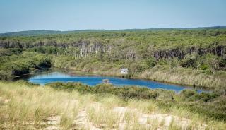 Le Sentier de Découverte L'Etang de la Mailloueyre