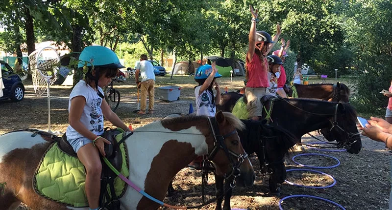 Des promenades en forêt