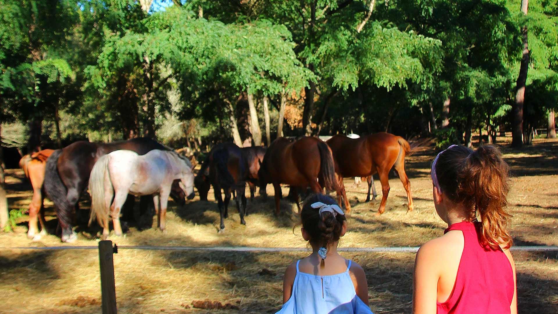 Camping avec équitation